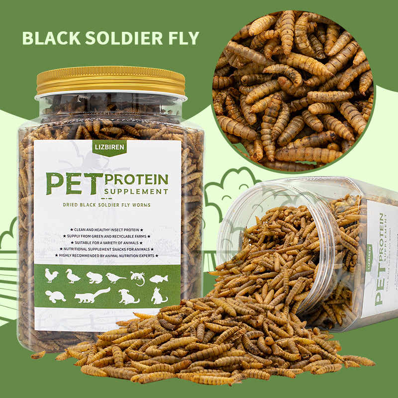Black Soldier Fly Larvae Pet Food