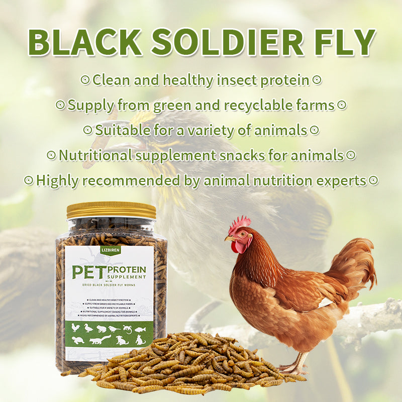 Black Soldier Fly Larvae animal food