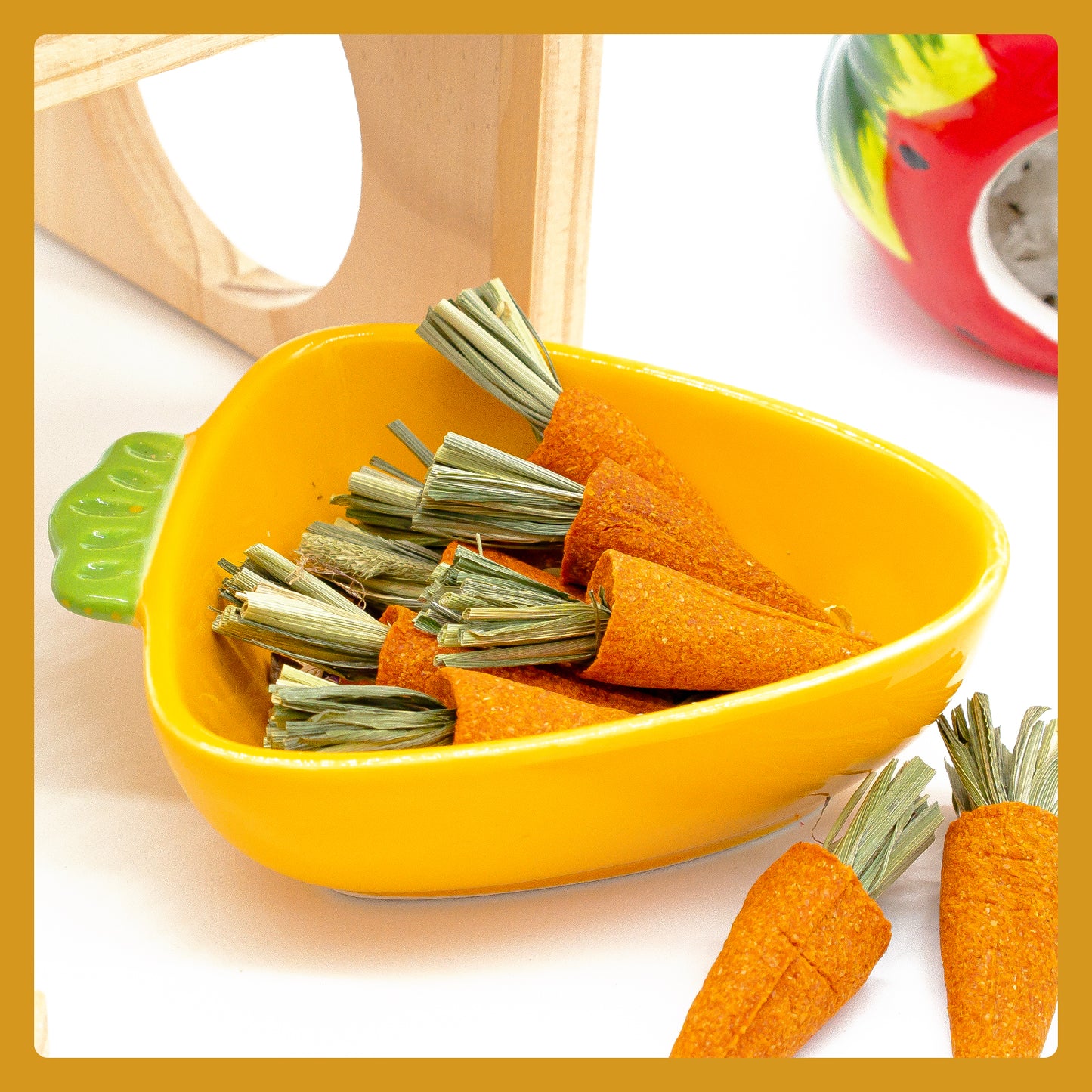Pet Chew Treats Carrot-Shaped 10PCS for Small Animal | LIZBIREN®