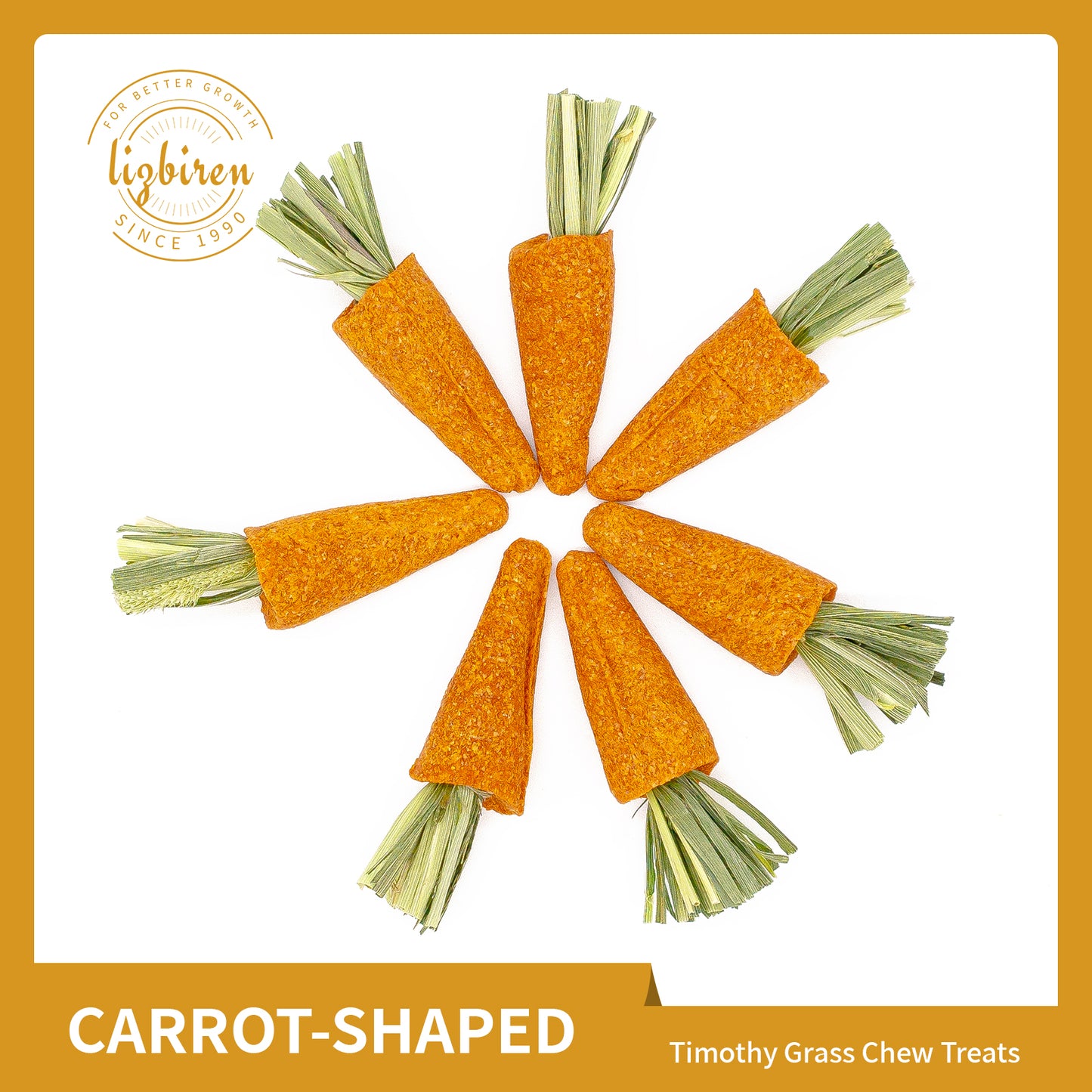 Pet Chew Treats Carrot-Shaped 10PCS for Small Animal | LIZBIREN®