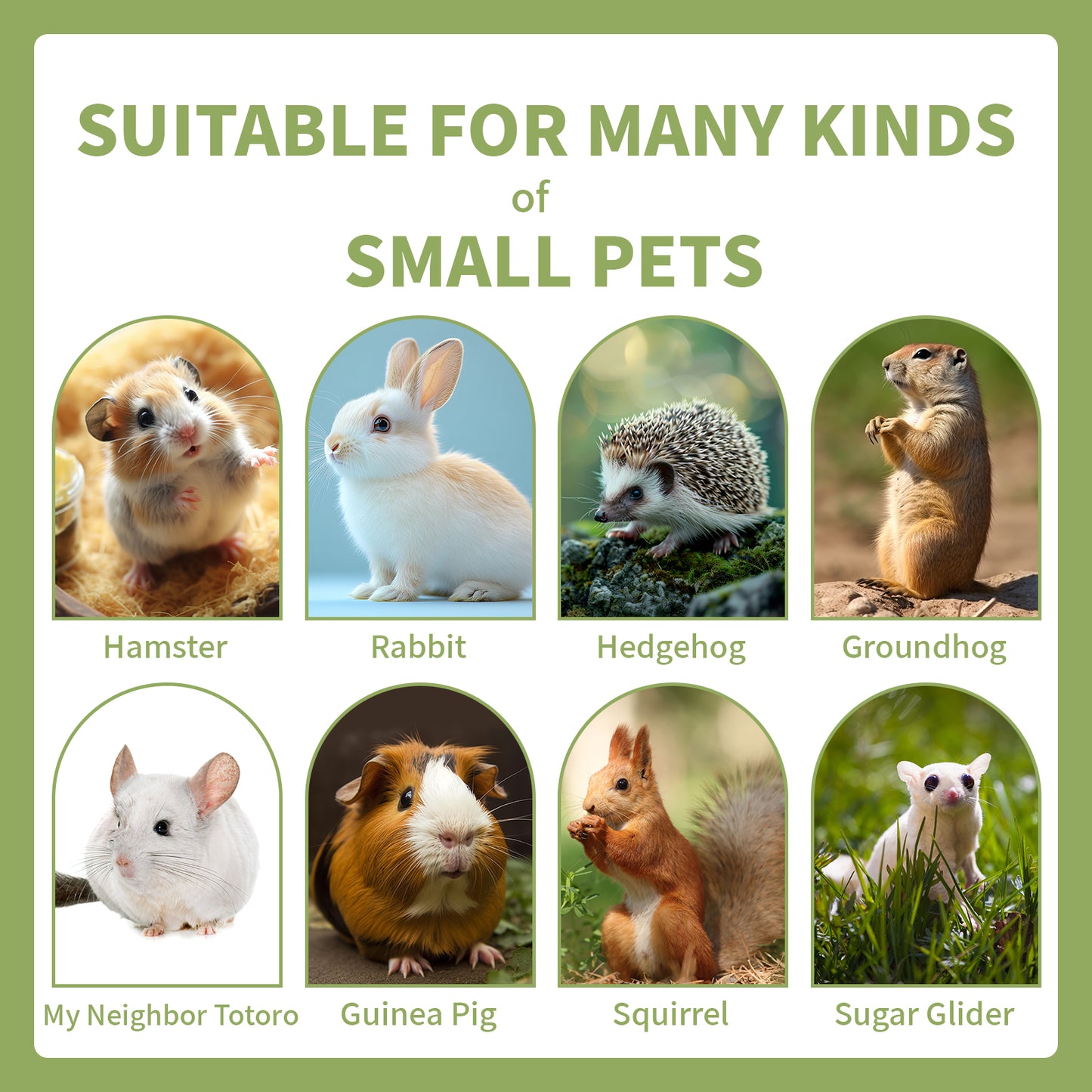 Pet Chew Treats Twist-Shaped 10PCS for Small Animal | LIZBIREN®