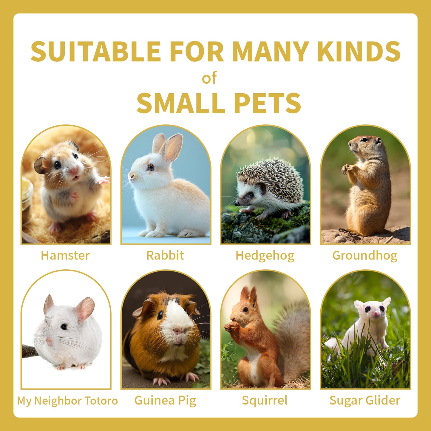 Pet Chew Treats Pumpkin-Shaped 10PCS for Small Animal | LIZBIREN®