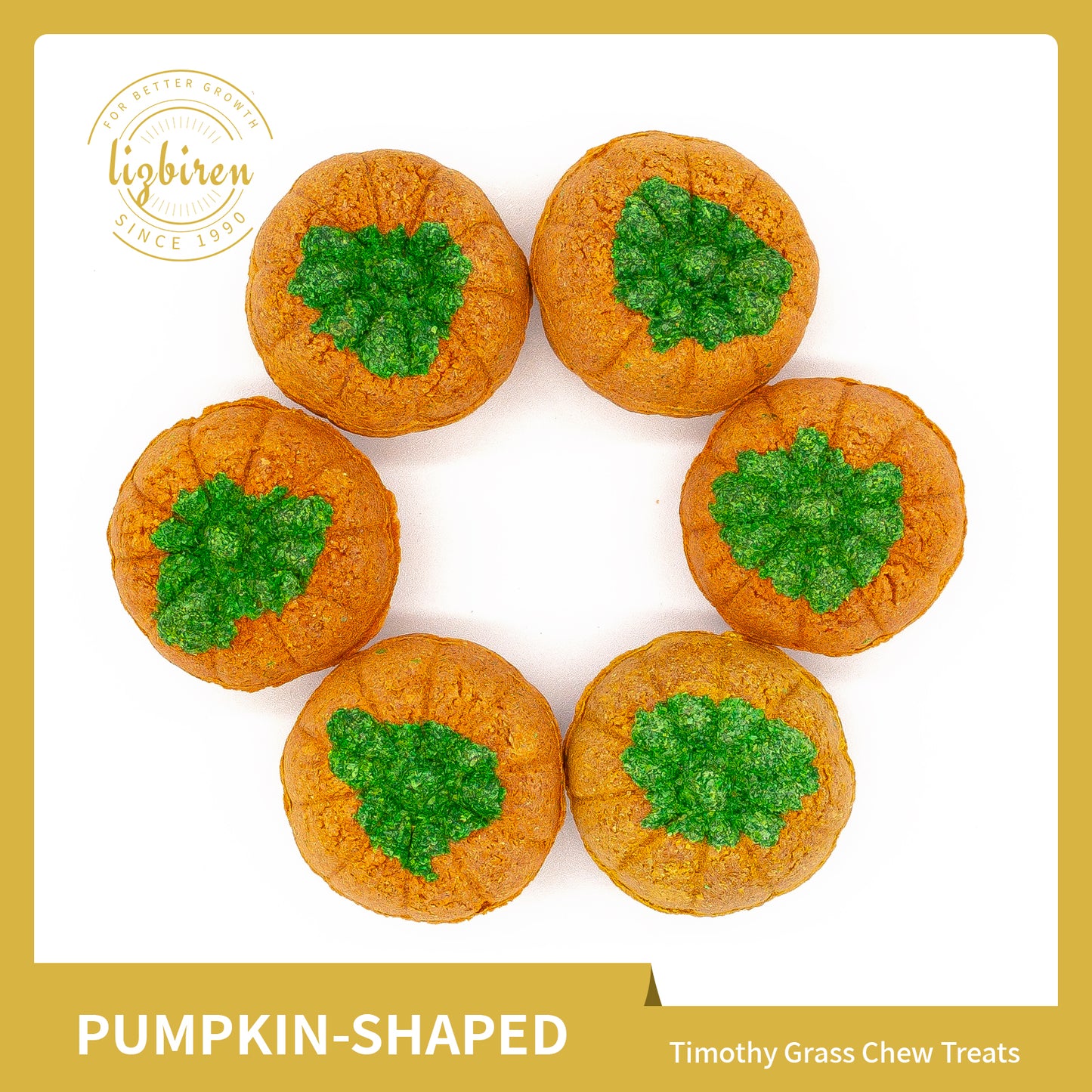 Pet Chew Treats Pumpkin-Shaped 10PCS for Small Animal | LIZBIREN®