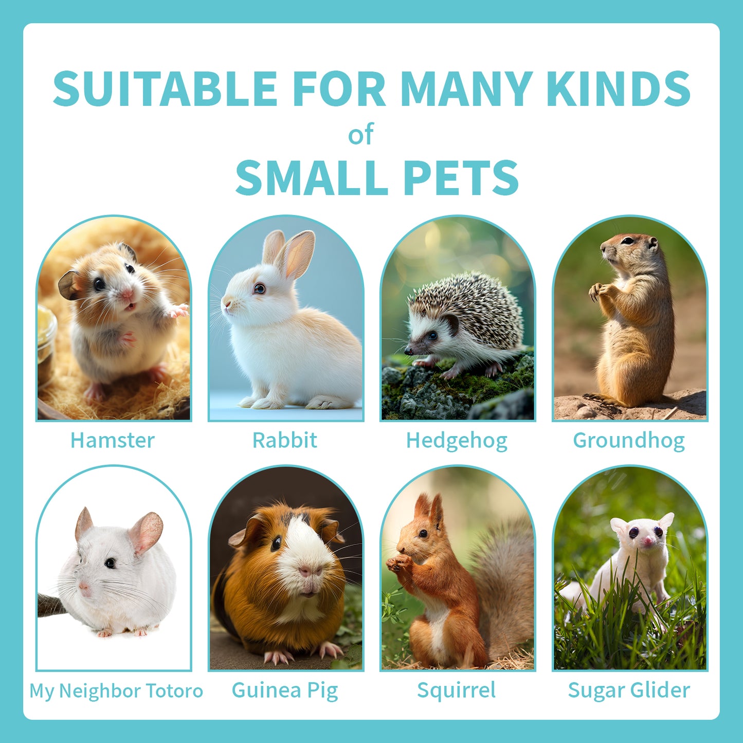 Pet Chew Treats Donut-Shaped 10PCS for Small Animal | LIZBIREN®