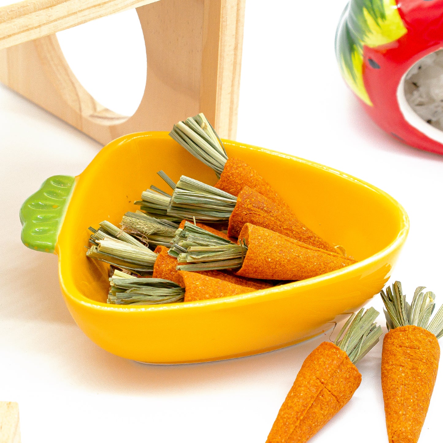 Pet Chew Treats Carrot-Shaped 10PCS for Small Animal | LIZBIREN®