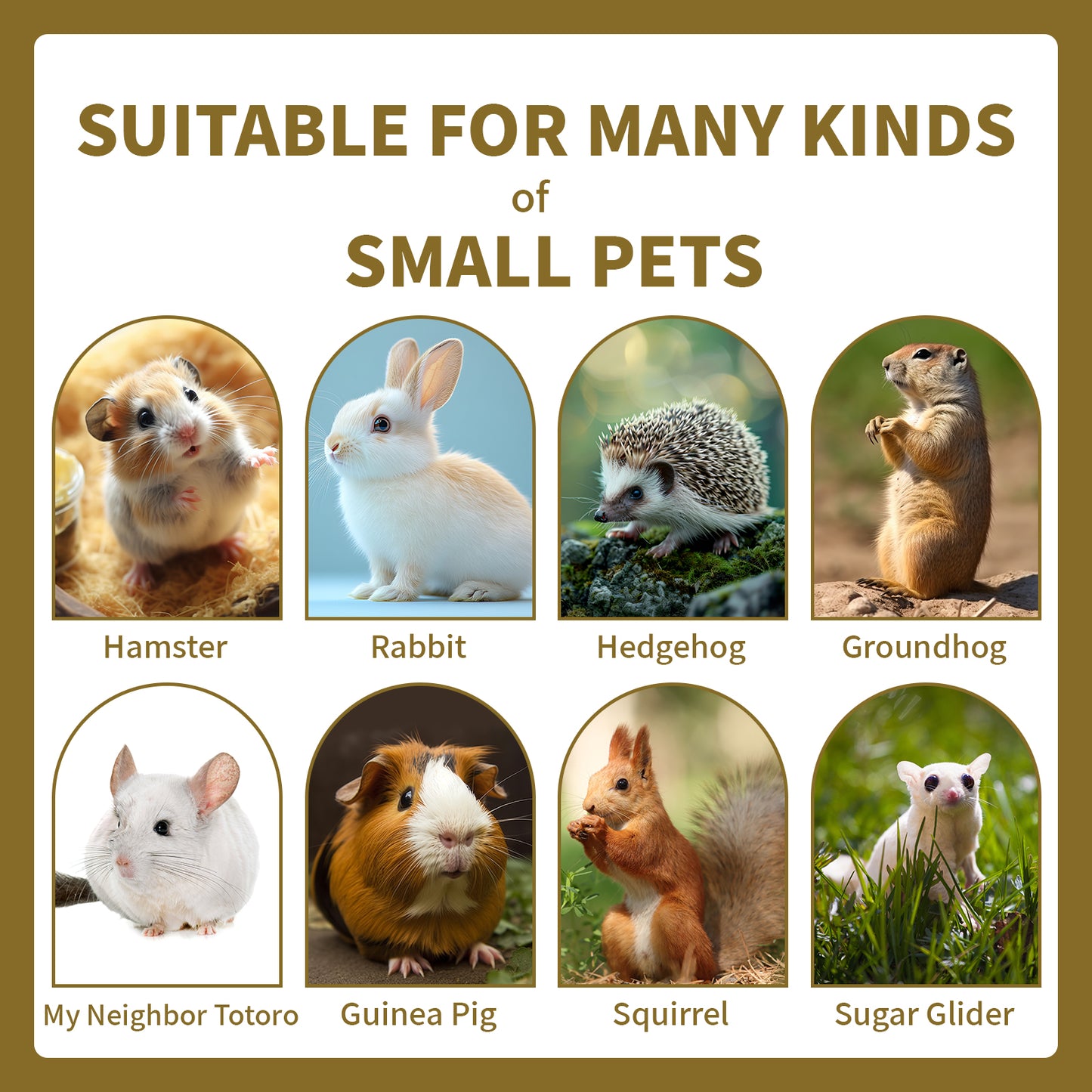 Pet Chew Treats Grass Cube 10PCS for Small Animal | LIZBIREN®