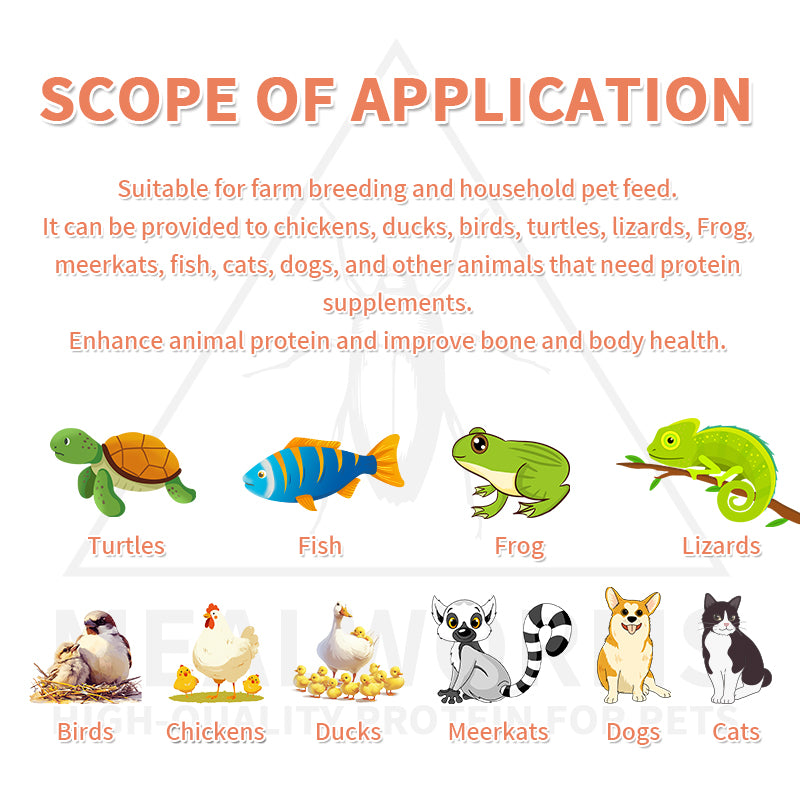Mealworm Dried Pet Food Suitable for pet